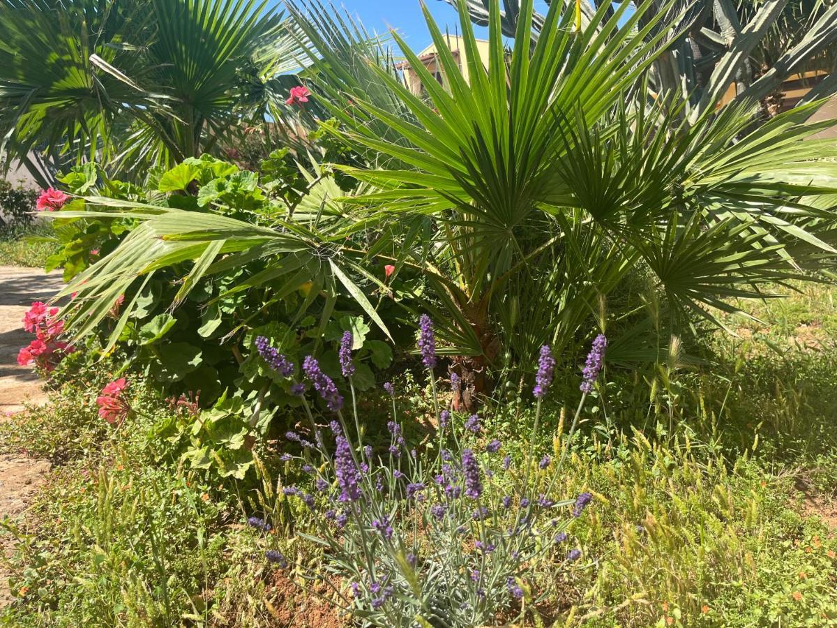 Nespolilla Villa Petrosino Bagian luar foto